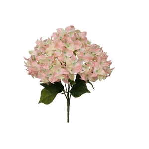 Bunch Bougainvillea L46W24H24