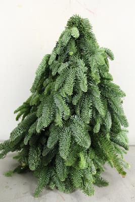 <h4>Tree Nobilis Natural 50cm</h4>