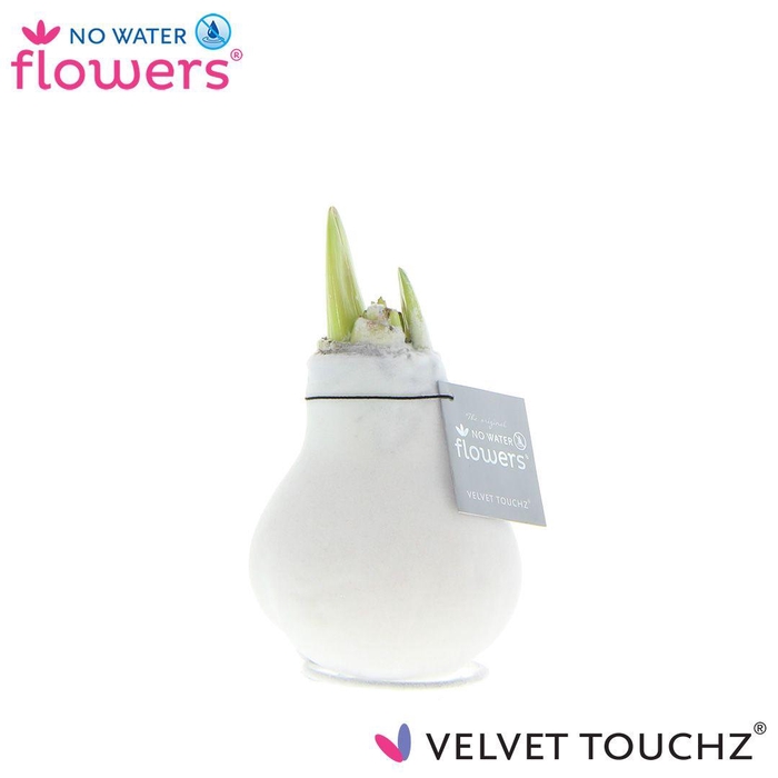 <h4>No Water Flowers Velvet Touchz® White</h4>