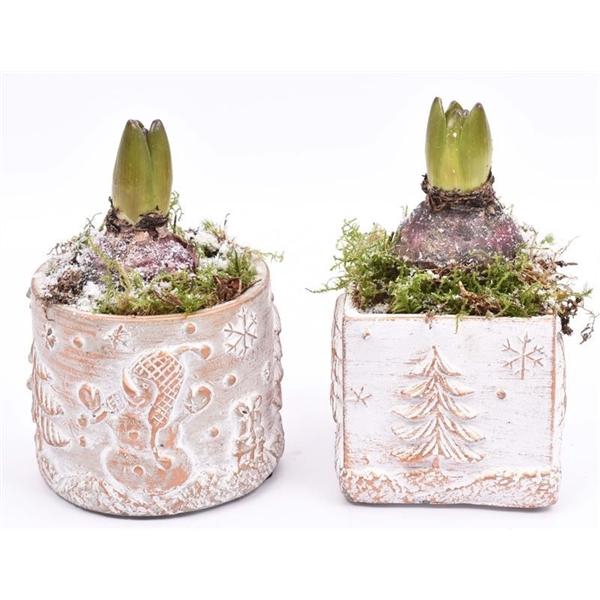 <h4>Cement met opdruk mix 9cm</h4>