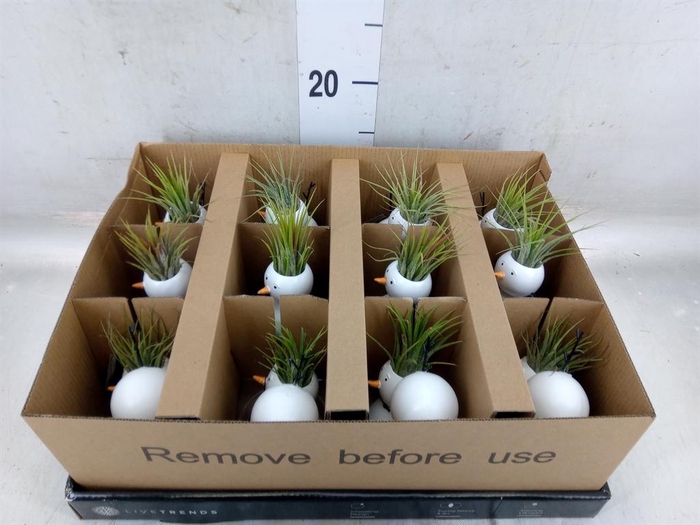 <h4>Arr.   Kamerplant Groen L%</h4>