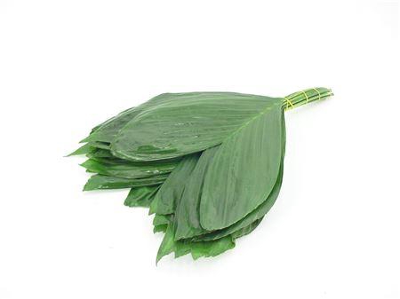 <h4>Cocos Cultivated 50cm</h4>