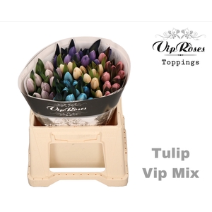 TU EN RV VIP MIX