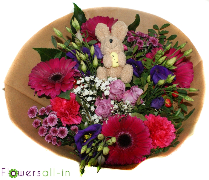 <h4>P202340 Lila</h4>