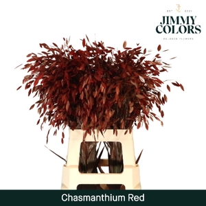 Chasmanthium L70 Red
