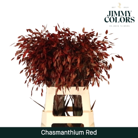 <h4>Chasmanthium L70 Red</h4>
