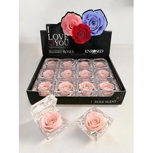 !! PROMO !! ROSA DIAMOND SOFT PINK