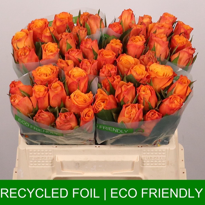 <h4>R GR CONFIDENTIAL</h4>