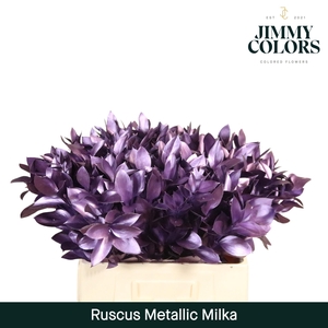Ruscus L50 Metallic Milka