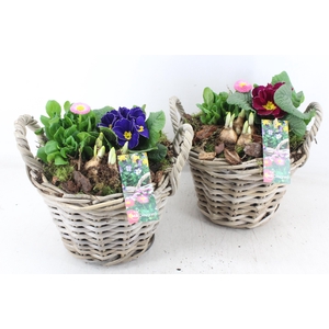 arr4 Outdoor MB - Kubu. mand L los