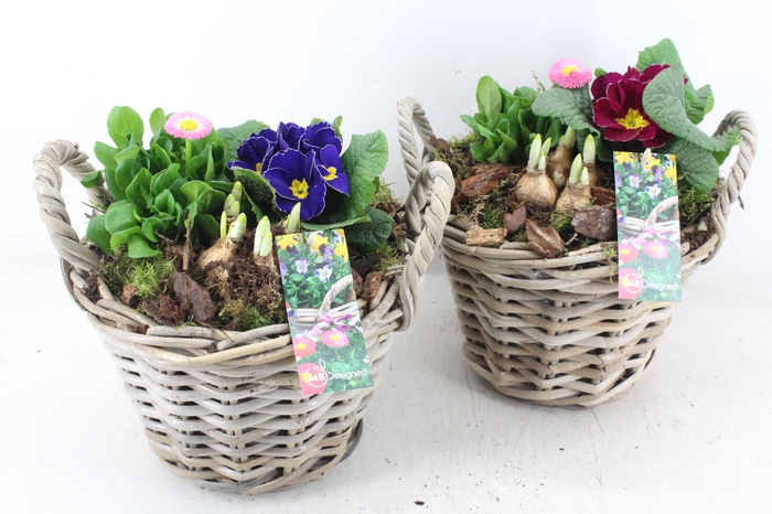 <h4>arr4 Outdoor MB - Kubu. mand L los</h4>