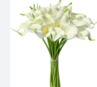 <h4>COPO DE LEITE BRANCO 060 CM</h4>