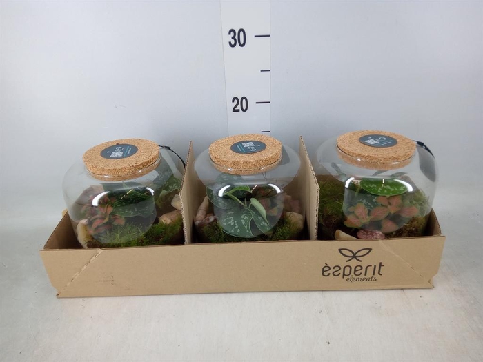 <h4>Arr. Planten H%</h4>