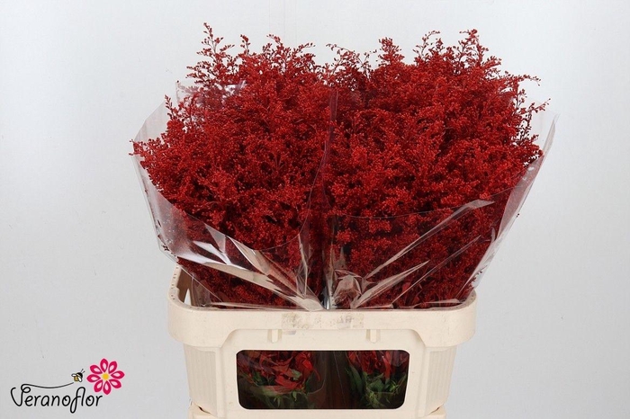 <h4>SOLI OV KLB H%</h4>