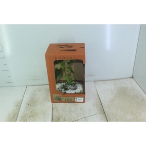 BONSAI FRUTA VASO PLASTICO 1.1L