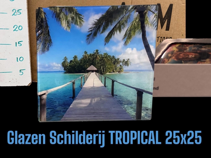 <h4>HUIS EN TUINDECO H%</h4>