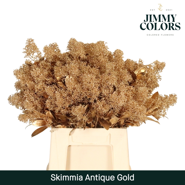 <h4>Skimmia Per Bos L45 Mtlc. Antiek Goud + Glitter</h4>