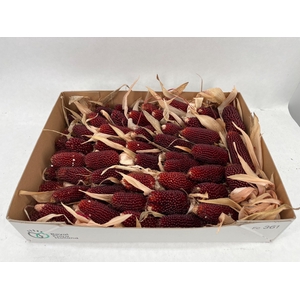 ZEA MAYS
