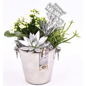 Champagnekoeler zilver 14 cm