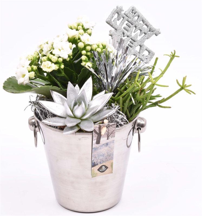 <h4>Champagnekoeler zilver 14 cm</h4>