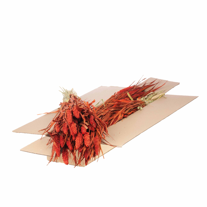 <h4>Setarea Italica Sb Burnt Orange</h4>