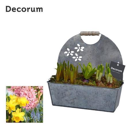 <h4>BOLBLOEMEN GEMENGD HL14623B FLOWER</h4>