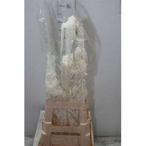 Dried Amaranthus Bleached