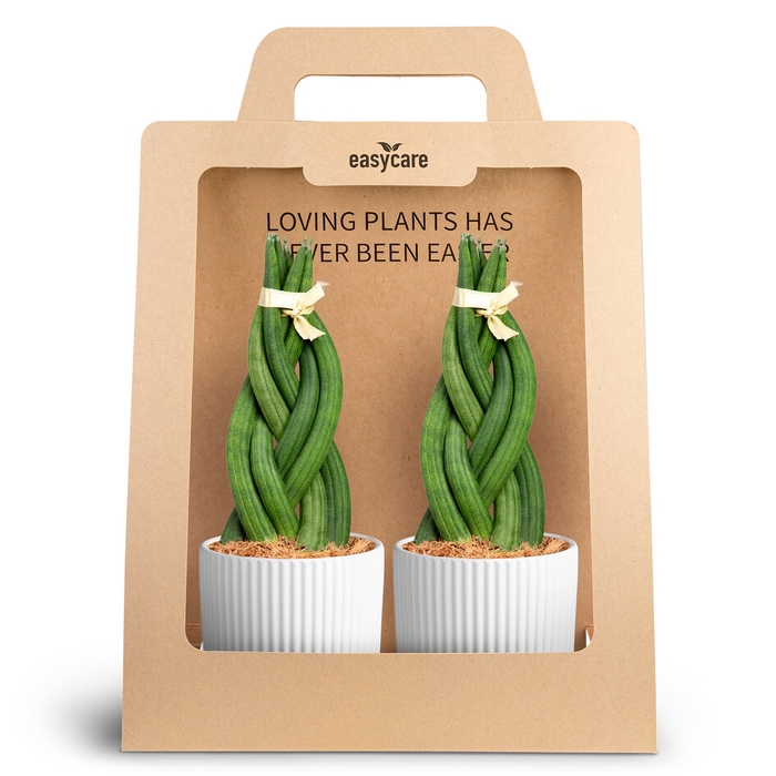 <h4>2-Pack Nordic White, Braid</h4>