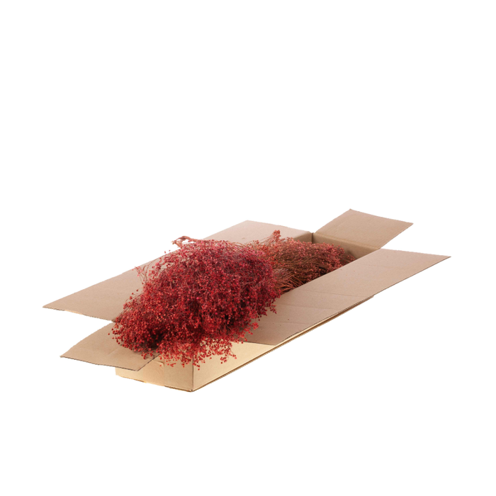 <h4>Broom Bloom Bunch Sb Pink</h4>