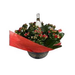 Kal Ge Gem I Pot zink