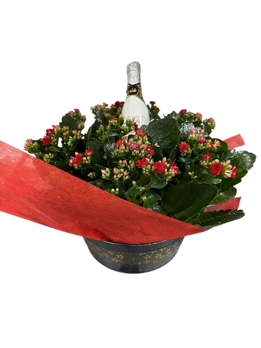 Kal Ge Gem I Pot zink