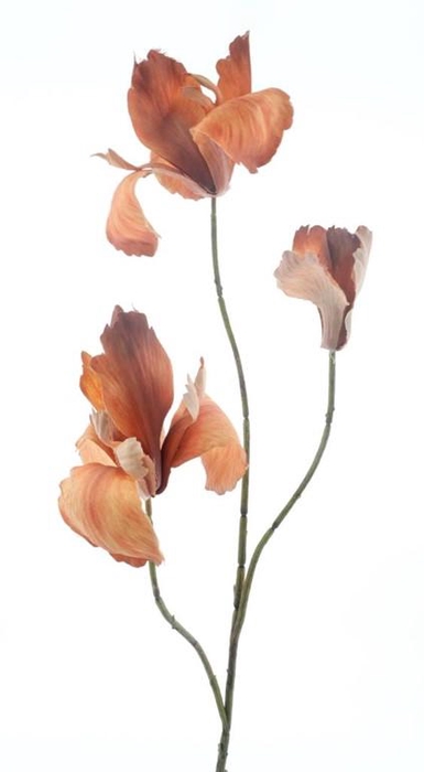 <h4>*Autumn iris spray orange 95cm</h4>