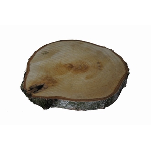 WOOD SLICE BERK D25-30 DIKTE 4CM