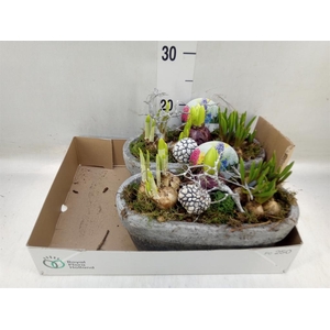 Arr.   Bol/Knolgewas L%