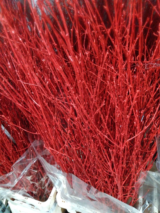 <h4>Betula L120 Mtlc Red + glitter</h4>