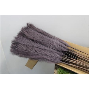 Silk Stick Lila X 12