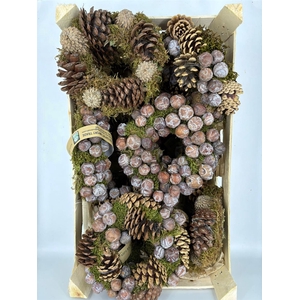 Wr Autumn Nature 20cm