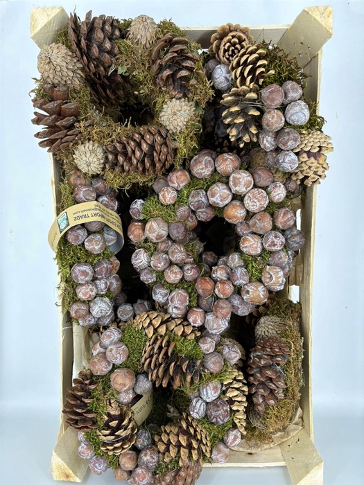 Wr Sierfruit Conemix Green 20cm