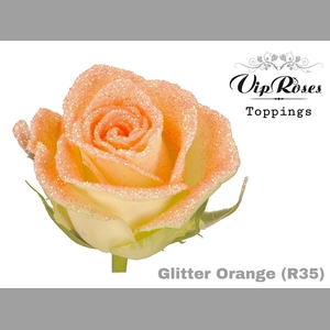 R GR GLITTER ORANGE R35 x20
