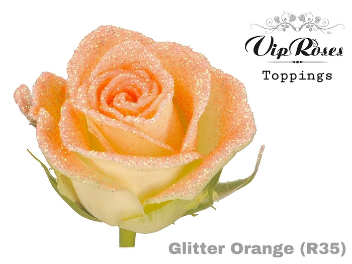 <h4>R GR GLITTER ORANGE R35 x20</h4>