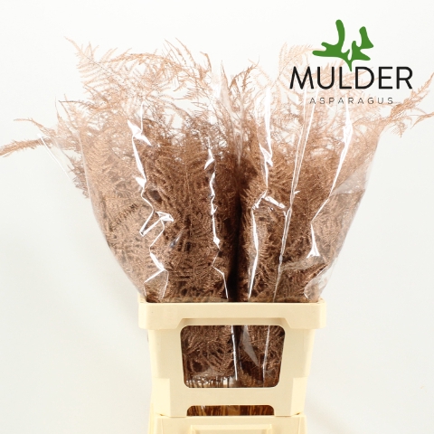 <h4>Asp Klb H% Extra Veren Copper</h4>