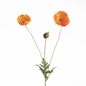 AF Papaver L75cm Orange