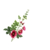 Alcea Large Dark Pink