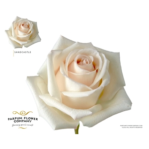 Rosa Garden Sandcastle