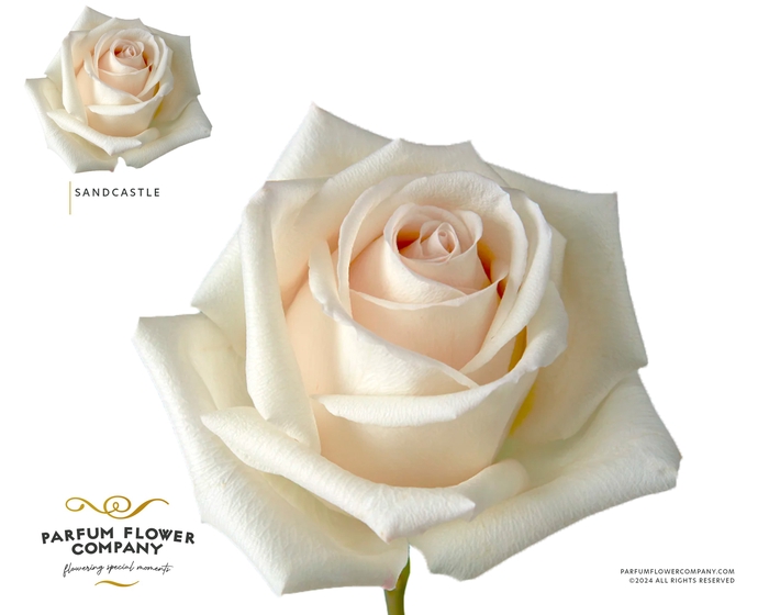 <h4>Rosa Garden Sandcastle</h4>
