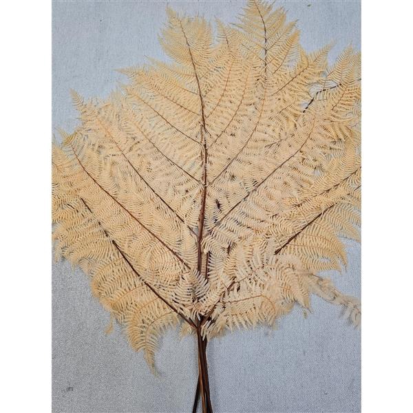 <h4>GESTABILISEERD VAREN MELOEN</h4>