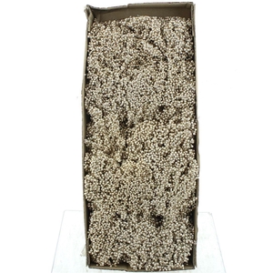 Dried Pepper Berries Champagne