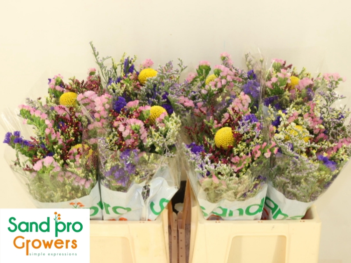 <h4>GEM ZOMERBOEKET</h4>