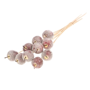 Apple 5cm O/s Red + Snw