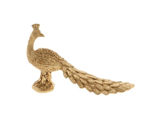 Peacock L31W9.5H19.5